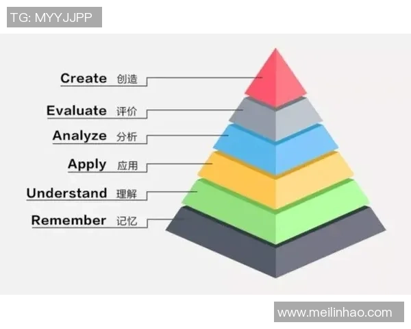 武汉飞盘队的成功运营模式与发展策略深度分析
